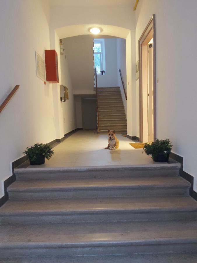 Apartman Draguc Pula Exteriér fotografie